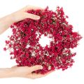 Blumenkranz aus künstlichem Schleierkraut, Ø 30 cm, Pink-Rot | Floristik21.de