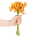 Künstlicher Schleierkrautzweig orange 30cm 10 Stück | Floristik21.de