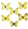 Floristik21 Schmetterling Gelb am Clip 11cm 6St