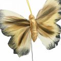 Deko-Schmetterling, Frühlingsdeko, Falter am Draht Braun, Gelb, Weiß 6×9cm 12St