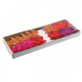 Frühling, Federschmetterlinge mit Glimmer, Deko-Schmetterling Rot, Orange, Pink, Violett 4×6,5cm 24St