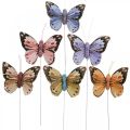 Floristik21 Federschmetterlinge, Deko-Schmetterlinge am Stab, Blumenstecker Rosa, Orange, Violett, Braun, Blau, Beige 6×8cm 12St