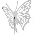 Floristik21 Blumenstecker Schmetterling, Gartendeko Metall, Pflanzenstecker Shabby Chic Weiß, Silbern L51cm 3St