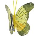 Floristik21 Schmetterlinge mit Clip 5cm - 7cm sortiert 10St