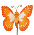 Floristik21 Schmetterlinge am Stab oange 7cm L25cm 24St
