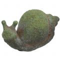 Floristik21 Gartenfigur Schnecke bemoost 31cm x 17cm H17cm