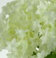 Floristik21 Schneeball, Seidenblumen Weiß 47cm
