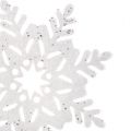 Floristik21 Schneeflocke Weiß mit Glimmer sort. 10cm 12St