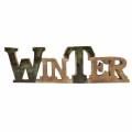 Floristik21 Schriftzug „Winter“ Glasiert Natur, Beige Mangoholz 11,5 × 37,5cm