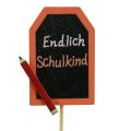 Floristik21 Schulanfang Deko Stecker „Endlich Schulkind“ Holz 7×5,5cm 16St