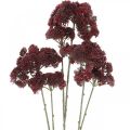 Floristik21 Sedum künstlich Rot Fetthenne Herbstdeko 70cm 3St