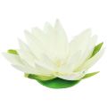 Floristik21 Seerose Künstliche Blume Schwimmende Tischdeko Cremeweiß Ø15cm
