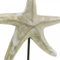 Seestern zum Stellen, Maritime Holzdeko Naturfarben, Weiß H23,5cm