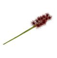 Floristik21 Seidenblumen Xanthium Bordeaux 64cm 4St