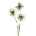 Floristik21 Seidenblumen Xanthium  grün 63cm 4St