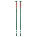 Seramis ® Gießanzeiger groß 26cm 2St | Floristik21.de