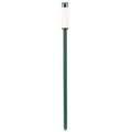 Seramis ® Gießanzeiger groß 26cm 2St | Floristik21.de