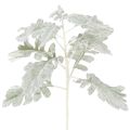 Floristik21 Künstlicher Senecio Zweig Silberblatt 45cm 3er-Set