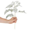 Künstlicher Senecio Zweig Silberblatt 45cm 3er-Set | Floristik21.de