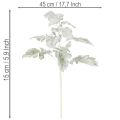 Künstlicher Senecio Zweig Silberblatt 45cm 3er-Set | Floristik21.de