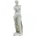 Floristik21 Venus Statue Deko-Skulptur H29cm Graubraun Dekofigur Garten