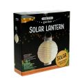 Floristik21 Lampion LED mit Solar 20cm Weiß