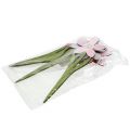Floristik21 Sommerdeko Blüten als Stecker Rosa, Pink 32cm 6St