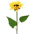 Floristik21 Langstielige Sonnenblume Gelb 53cm