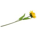 Floristik21 Langstielige Sonnenblume Gelb 53cm