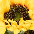 Künstliche Sonnenblumen 58cm, 3 Stiele, mit realistischen Blüten und Blättern, Gelb-Grün | Floristik21.de