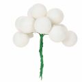 Spiegelbeeren aus Glas am Draht, 25 mm, Weiß matt und glänzend, 140 Stück | Floristik21.de