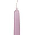 Spitzkerzen Stabkerzen Wenzel Kerzen Flieder 250/23mm 12 St | Floristik21.de