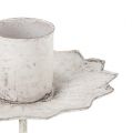 Spitzkerzenhalter zum Stecken Ø7cm Creme | Floristik21.de