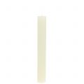 Floristik21 Stabkerzen durchgefärbt Creme 34mm x 240mm 4 St