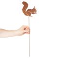 Gartenstecker aus Metall Eichhörnchen Rostoptik 52cm 2er-Set | Floristik21.de
