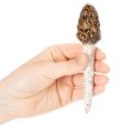 Künstlicher Morchel-Pilz Stecker Keramik 13cm Braun 2 Stück | Floristik21.de
