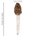 Künstlicher Morchel-Pilz Stecker Keramik 13cm Braun 2 Stück | Floristik21.de