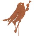 Floristik21 Gartenstecker Vogel Edelrost Metall 52cm Braun