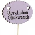 Floristik21 Blumenstecker Schriftzug, Strauß Deko Herzlichen Glückwunsch 9cm 18St