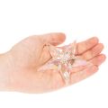 Dekoanhänger Stern Acryl 9cm transparent irisierend 6er-Set | Floristik21.de