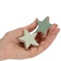 Holzstern-Set 5 cm, 9 Stück, Mintgrün und Weiß, Dekoration | Floristik21.de