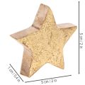 Deko-Sterne 5cm Holz goldfarben beschichtet 9 Stück Innenbereich | Floristik21.de