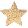 Deko-Sterne 5cm Holz goldfarben beschichtet 9 Stück Innenbereich | Floristik21.de