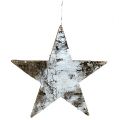 Floristik21 Sterne aus Birkenrinde Weiß 29cm 3St