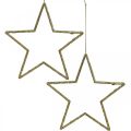 Floristik21 Weihnachtsdeko Stern Anhänger Golden Glitter 12cm 12St