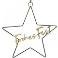 Floristik21 Sterndeko "Frohes Fest", Metallstern zum Hängen, Dekoring für den Advent Schwarz, Golden 41×39,5cm