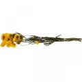 Floristik21 Trockenblume Gelb Strohblume Helichrysum Trockendeko Bund 50cm 45g