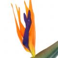 Strelitzie Paradiesvogelblume künstlich 98cm