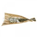 Floristik21 Acroclinium Weiß, Trockenpflanzen, Strohblumen, Trockenfloristik L20–40cm 25g
