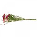 Floristik21 Rhodanthe Rosa-Pink, Seidenblumen, Kunstpflanze, Strohblumen-Bund L46cm